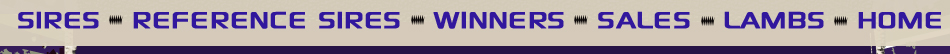 Sires - Reference Sires - Winners - Sales - Lambs - Home