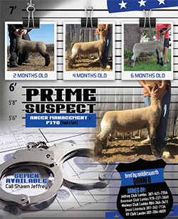 Prime Suspect